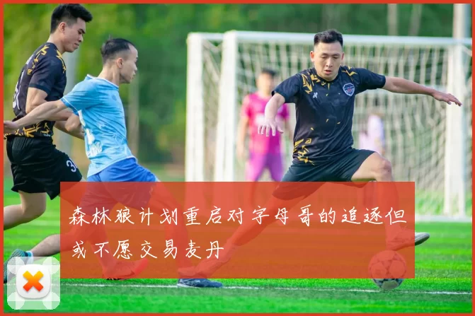 森林狼计划重启对字母哥的追逐但或不愿交易麦丹