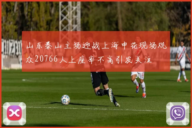 山东泰山主场迎战上海申花现场观众20766人上座率不高引发关注